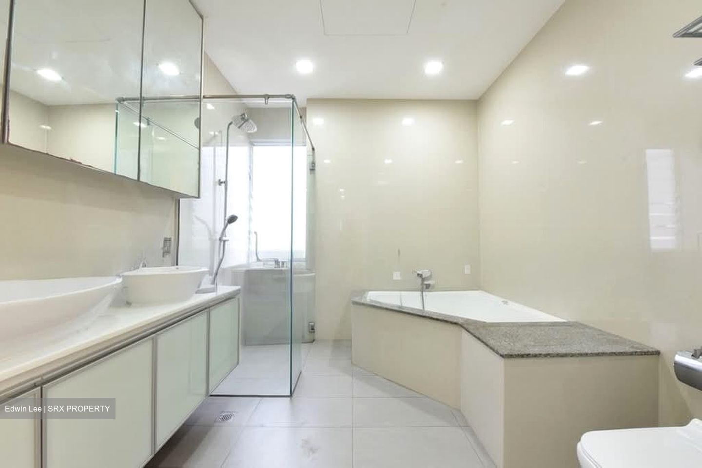 Regency Park (D10), Condominium #617700591
